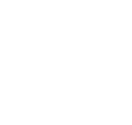 Reiverdale Scouts Logo